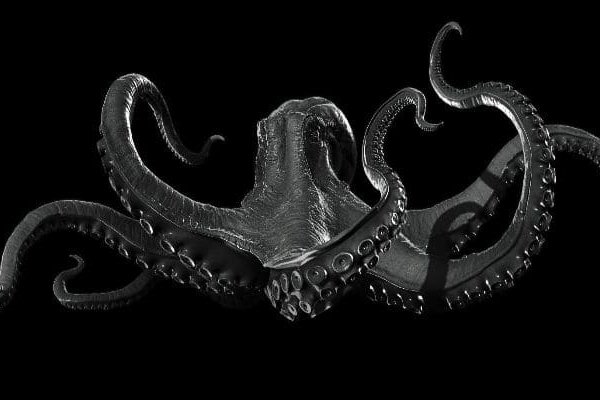 Kraken dark