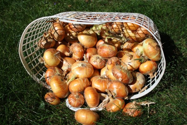 Купить наркотики томск
