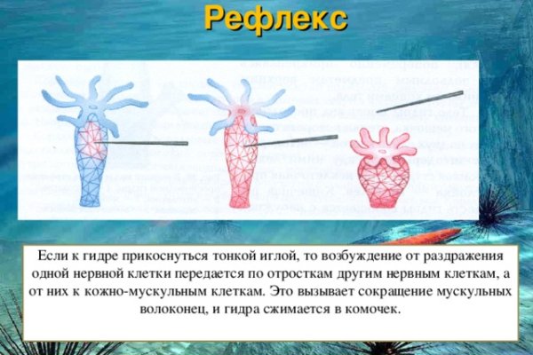 Кракен магазин нарков